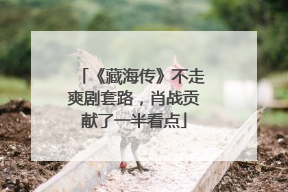 《藏海传》不走爽剧套路，肖战贡献了一半看点