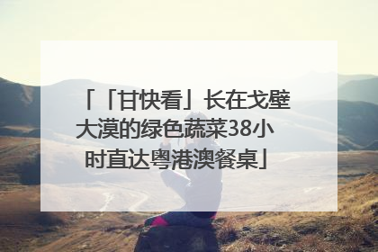 「甘快看」长在戈壁大漠的绿色蔬菜38小时直达粤港澳餐桌