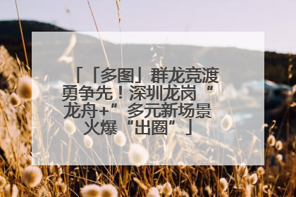 「多图」群龙竞渡勇争先!深圳龙岗“龙舟+”多元新场景火爆“出圈”
