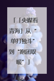 「央媒看青海」从“单打独斗”到“抱团取暖”