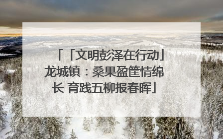 「文明彭泽在行动」龙城镇：桑果盈筐情绵长 育践五柳报春晖