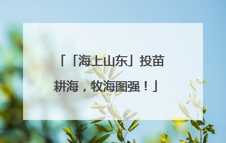 「海上山东」投苗耕海，牧海图强！