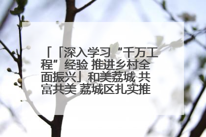 「深入学习“千万工程”经验 推进乡村全面振兴」和美荔城 共富共美 荔城区扎实推进乡村振兴工作
