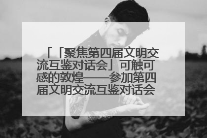 「聚焦第四届文明交流互鉴对话会」可触可感的敦煌——参加第四届文明交流互鉴对话会的外宾参观上元市集
