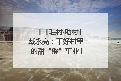「驻村·助村」戴永亮：干好村里的甜“猕”事业