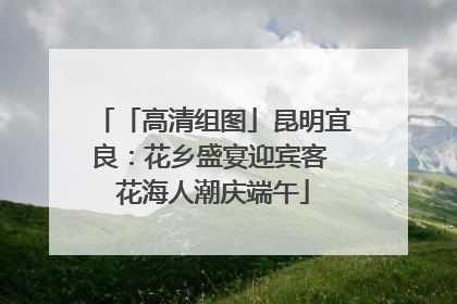 「高清组图」昆明宜良：花乡盛宴迎宾客 花海人潮庆端午