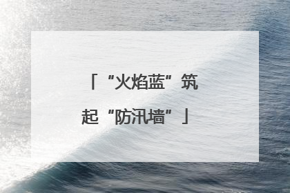 “火焰蓝”筑起“防汛墙”