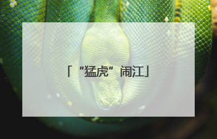 “猛虎”闹江