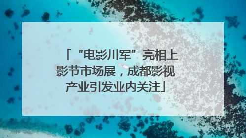“电影川军”亮相上影节市场展，成都影视产业引发业内关注