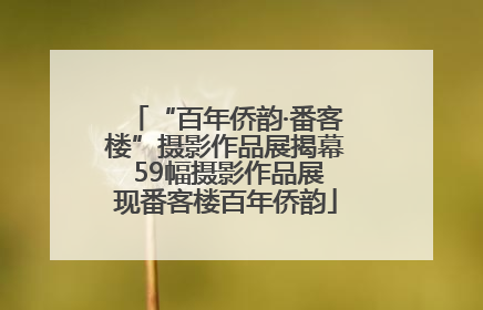 “百年侨韵·番客楼”摄影作品展揭幕 59幅摄影作品展现番客楼百年侨韵