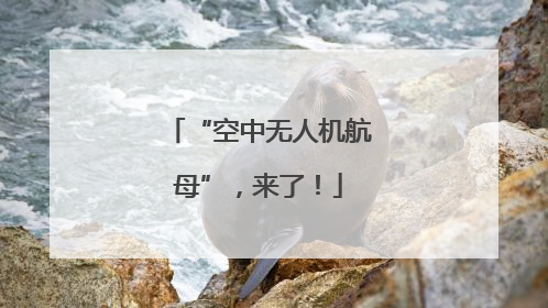 “空中无人机航母”，来了！