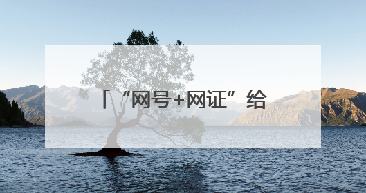 “网号+网证”给你的身份信息“加密”！怎么申领？