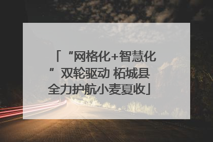 “网格化+智慧化”双轮驱动 柘城县全力护航小麦夏收