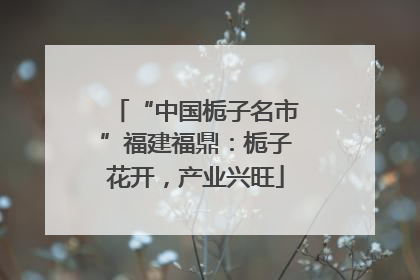 “中国栀子名市”福建福鼎：栀子花开，产业兴旺