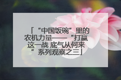 “中国饭碗”里的农机力量——“打赢这一战 底气从何来”系列观察之三
