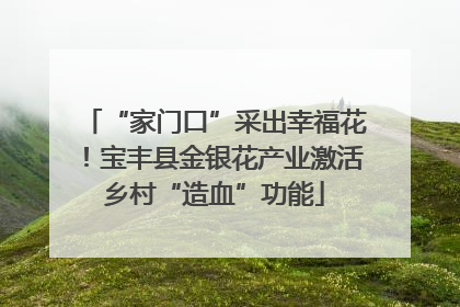 “家门口”采出幸福花！宝丰县金银花产业激活乡村“造血”功能