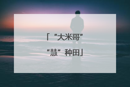 “大米哥”“慧”种田