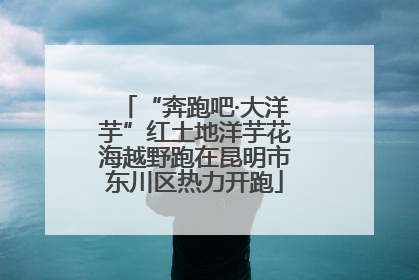 “奔跑吧·大洋芋”红土地洋芋花海越野跑在昆明市东川区热力开跑