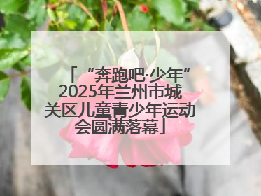 “奔跑吧·少年”2025年兰州市城关区儿童青少年运动会圆满落幕