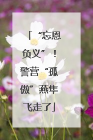“忘恩负义”！警营“孤傲”燕隼飞走了