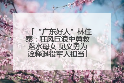 “广东好人”林佳泰：狂风巨浪中勇救落水母女 见义勇为诠释退役军人担当