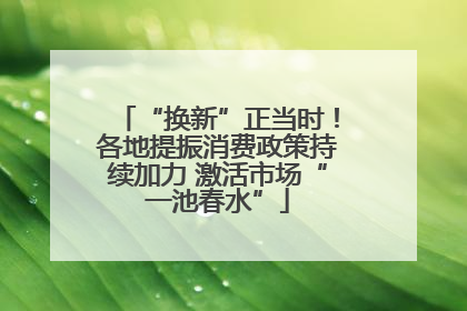 “换新”正当时！各地提振消费政策持续加力 激活市场“一池春水”