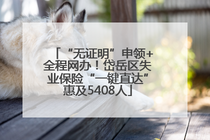 “无证明”申领+全程网办！岱岳区失业保险“一键直达”惠及5408人