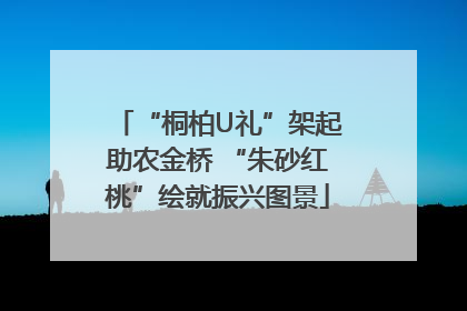 “桐柏U礼”架起助农金桥 “朱砂红桃”绘就振兴图景