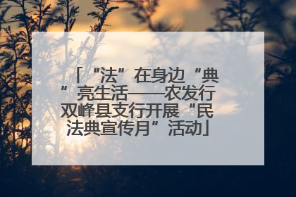 “法”在身边“典”亮生活——农发行双峰县支行开展“民法典宣传月”活动