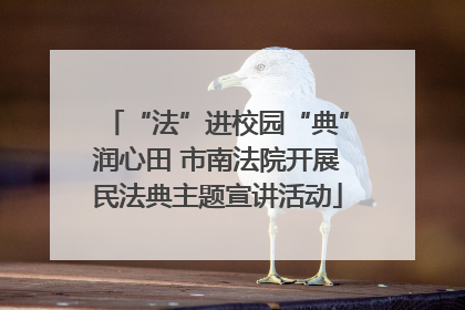 “法”进校园“典”润心田 市南法院开展民法典主题宣讲活动
