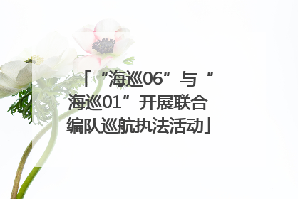 “海巡06”与“海巡01”开展联合编队巡航执法活动