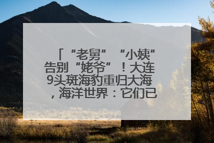 “老舅”“小姨”告别“姥爷”！大连9头斑海豹重归大海，海洋世界：它们已具备野外生存能力