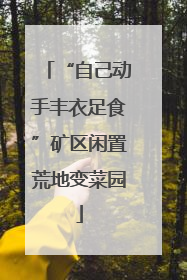 “自己动手丰衣足食”矿区闲置荒地变菜园