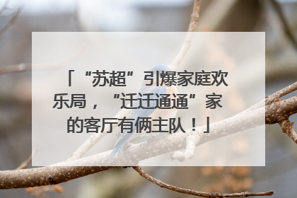 “苏超”引爆家庭欢乐局，“迁迁通通”家的客厅有俩主队！