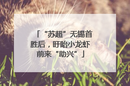 “苏超”无锡首胜后，盱眙小龙虾前来“助兴”