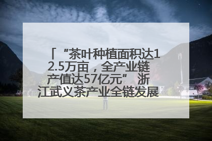“茶叶种植面积达12.5万亩，全产业链产值达57亿元” 浙江武义茶产业全链发展“加速度”