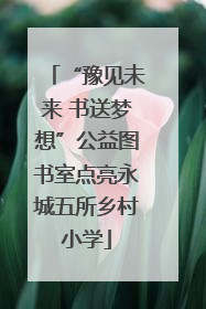 “豫见未来 书送梦想”公益图书室点亮永城五所乡村小学