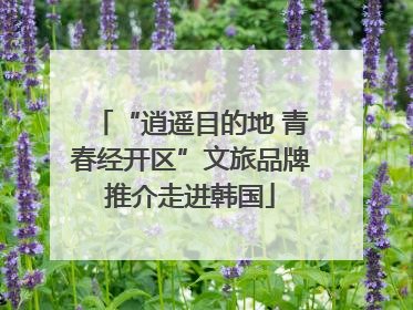 “逍遥目的地 青春经开区”文旅品牌推介走进韩国