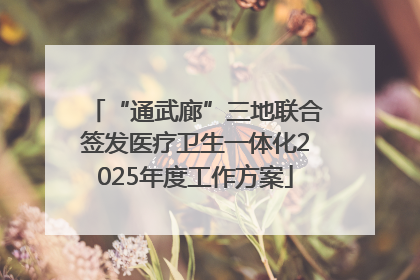 “通武廊”三地联合签发医疗卫生一体化2025年度工作方案