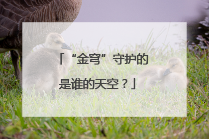 “金穹”守护的是谁的天空？