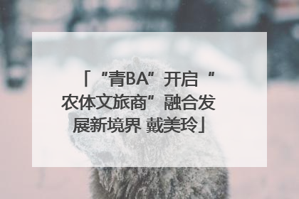 “青BA”开启“农体文旅商”融合发展新境界 戴美玲