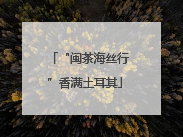 “闽茶海丝行”香满土耳其