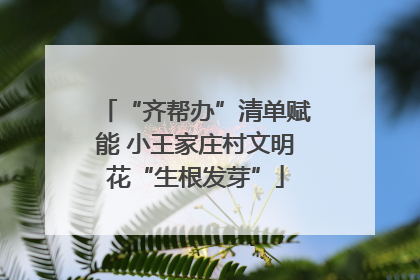 “齐帮办”清单赋能 小王家庄村文明花“生根发芽”