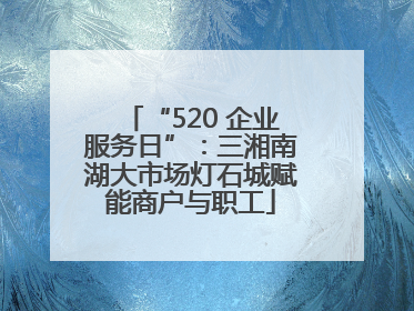 “520 企业服务日”：三湘南湖大市场灯石城赋能商户与职工