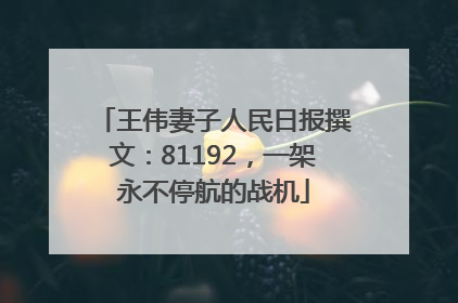 王伟妻子人民日报撰文：81192，一架永不停航的战机
