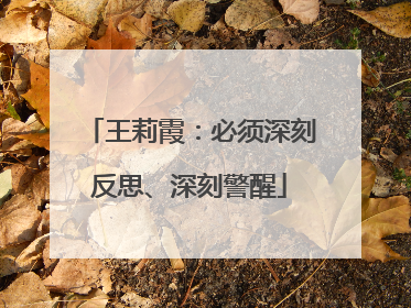王莉霞：必须深刻反思、深刻警醒