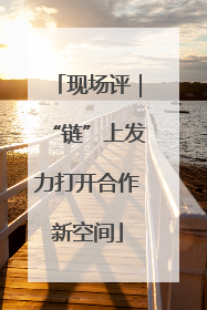 现场评｜“链”上发力打开合作新空间