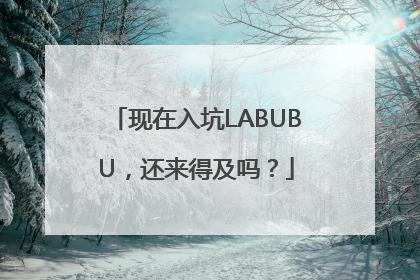 现在入坑LABUBU，还来得及吗？