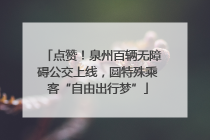 点赞！泉州百辆无障碍公交上线，圆特殊乘客“自由出行梦”