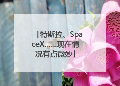 特斯拉、SpaceX……现在情况有点微妙